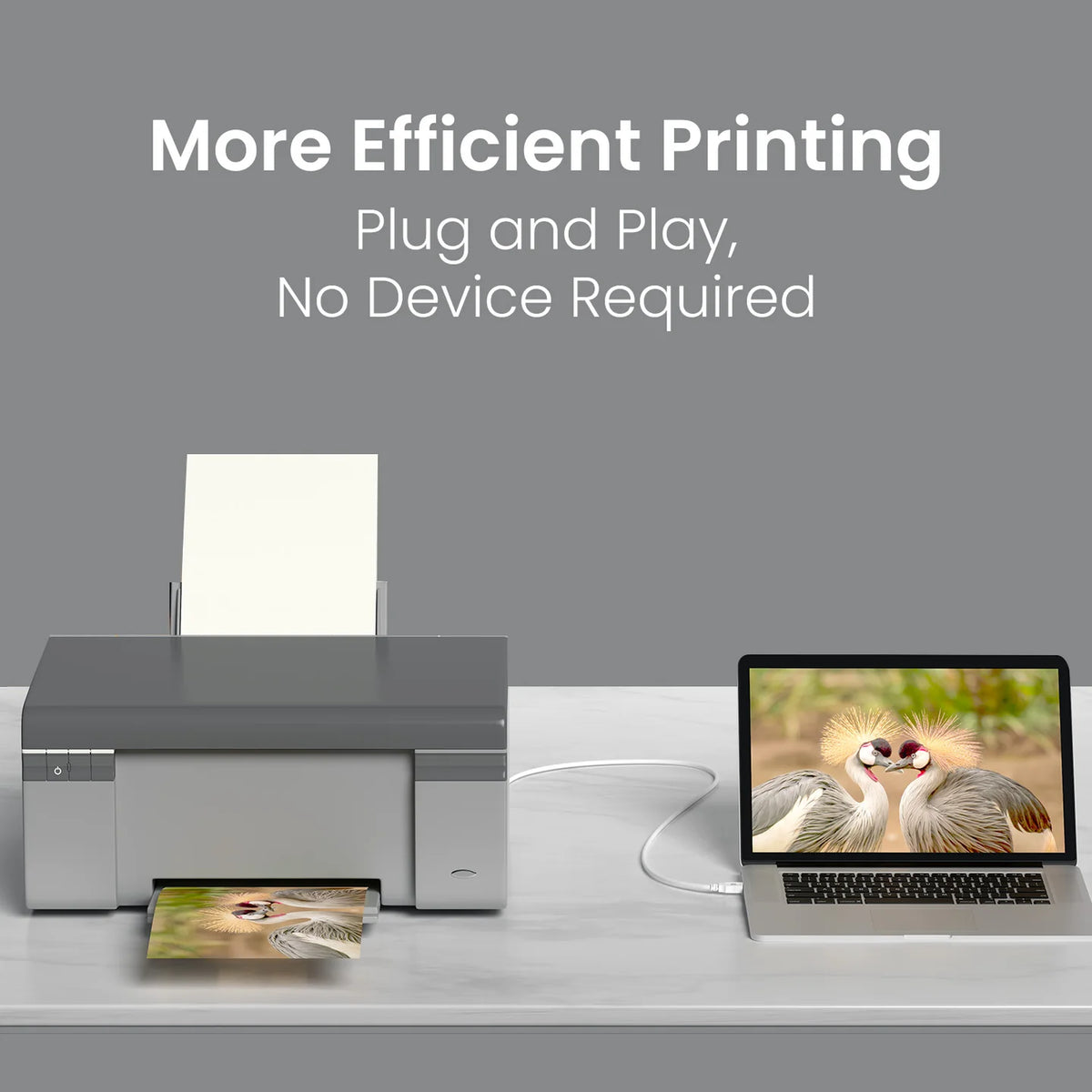 Printlink USB-A to USB-B Printer Cable