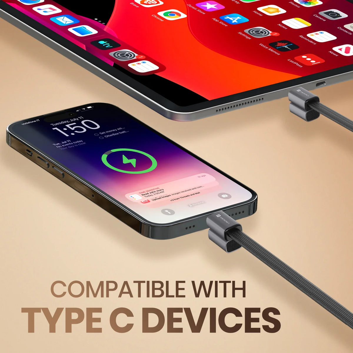 SafeLink Type C to Type C 60W Cable