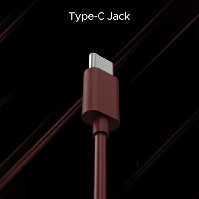 100C Wired In-Ear Earphone 