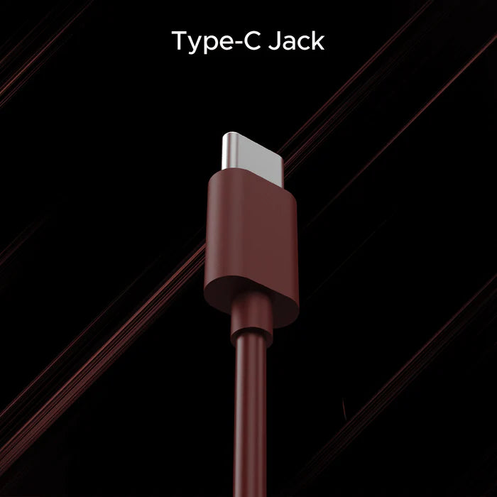 100C Wired In-Ear Earphone 