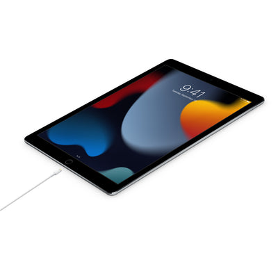 iPhone USB-C to Lightning Cable 