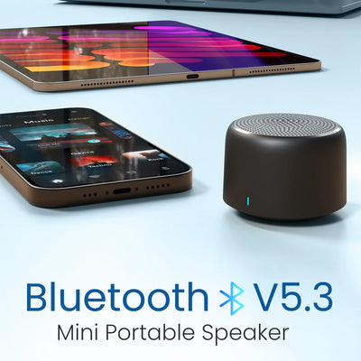Pico Wireless Mini Speaker